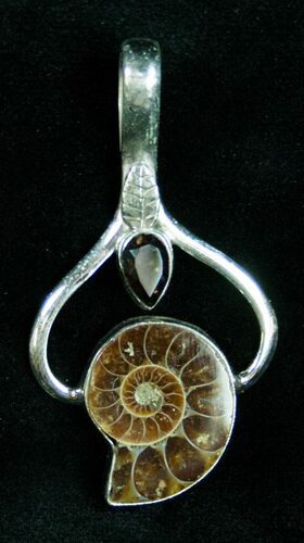 Fossil Ammonite Pendant - Sterling Silver #12067